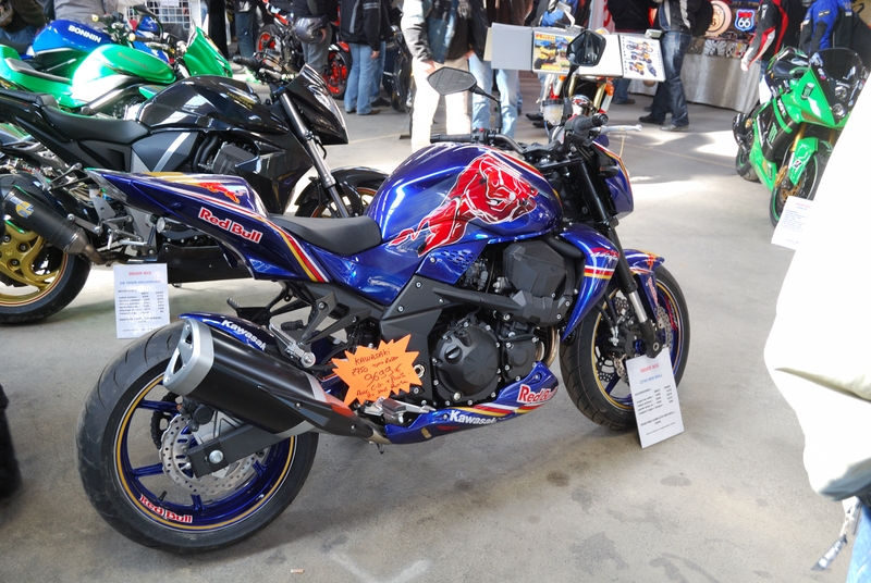 Puce_Niort_2009_055 [800x600].jpg